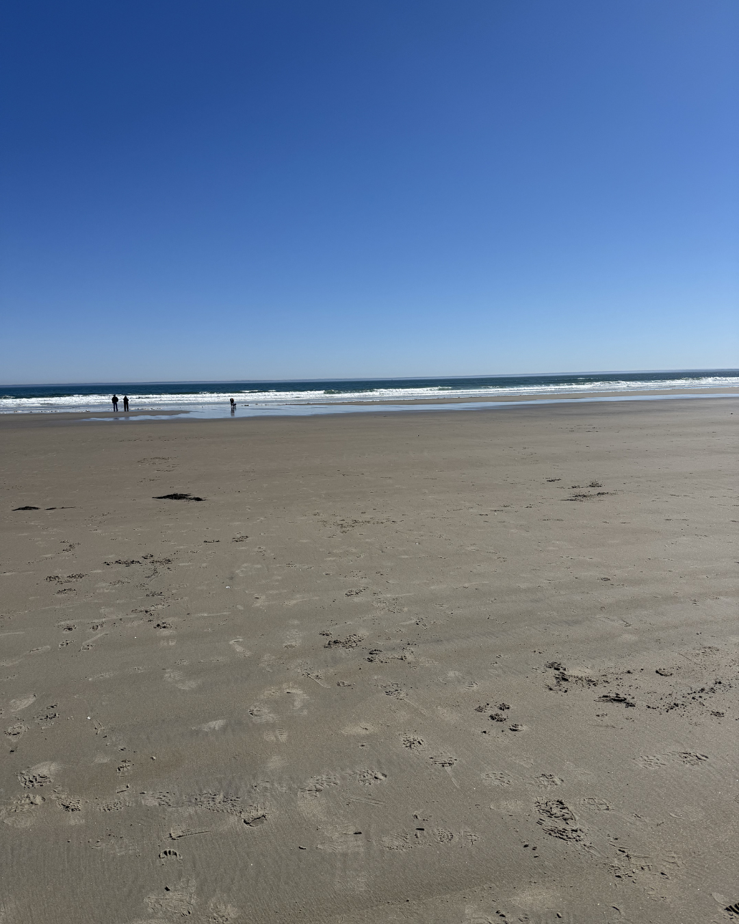 erin-lamarche-ogunquit-maine-realtor.jpg
